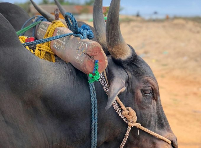 Eastern Discovery (Start New Orleans)