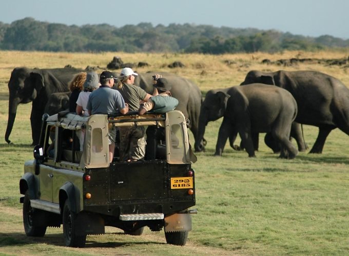 culture and history (8 days)