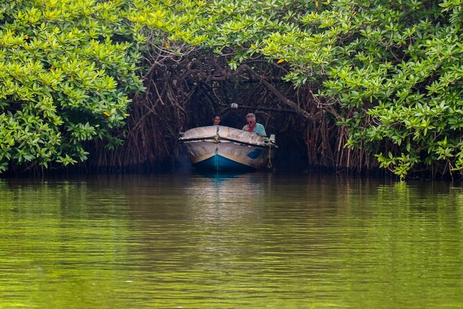 🛶 A River Safari in Madu Ganga: A Journey Through Mangroves