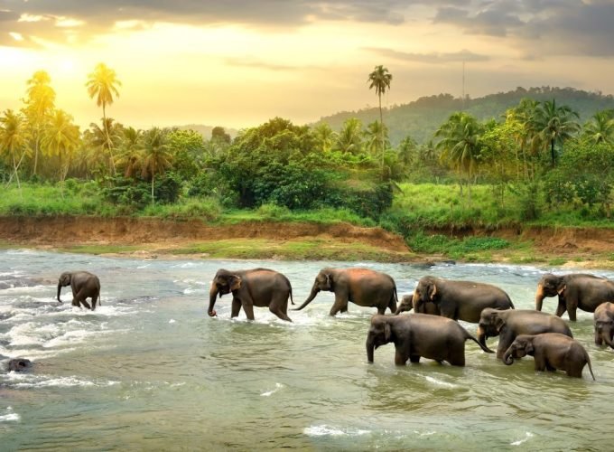 Romantical Gateway (14 days)